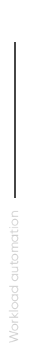 Workload automation
